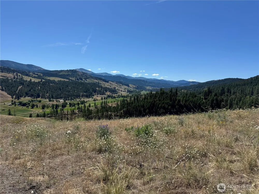 1 A Lundimo Meadows Road Curlew, WA 99118