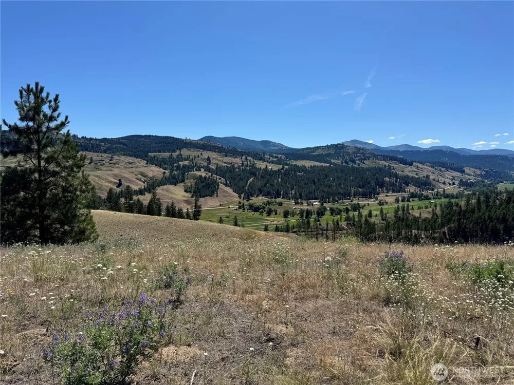 1 A Lundimo Meadows Road Curlew, WA 99118