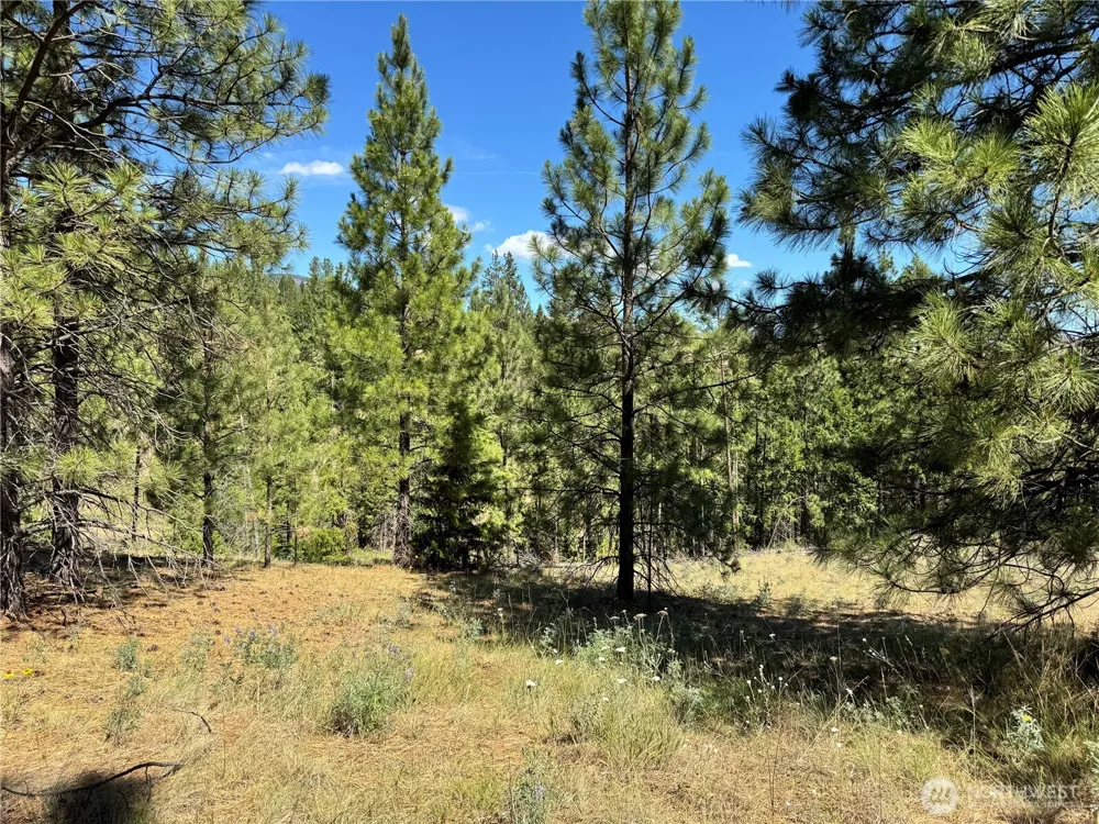 1 A Lundimo Meadows Road Curlew, WA 99118