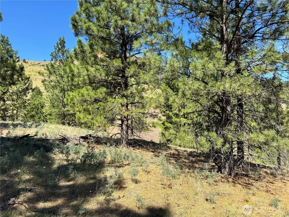 1 A Lundimo Meadows Road Curlew, WA 99118