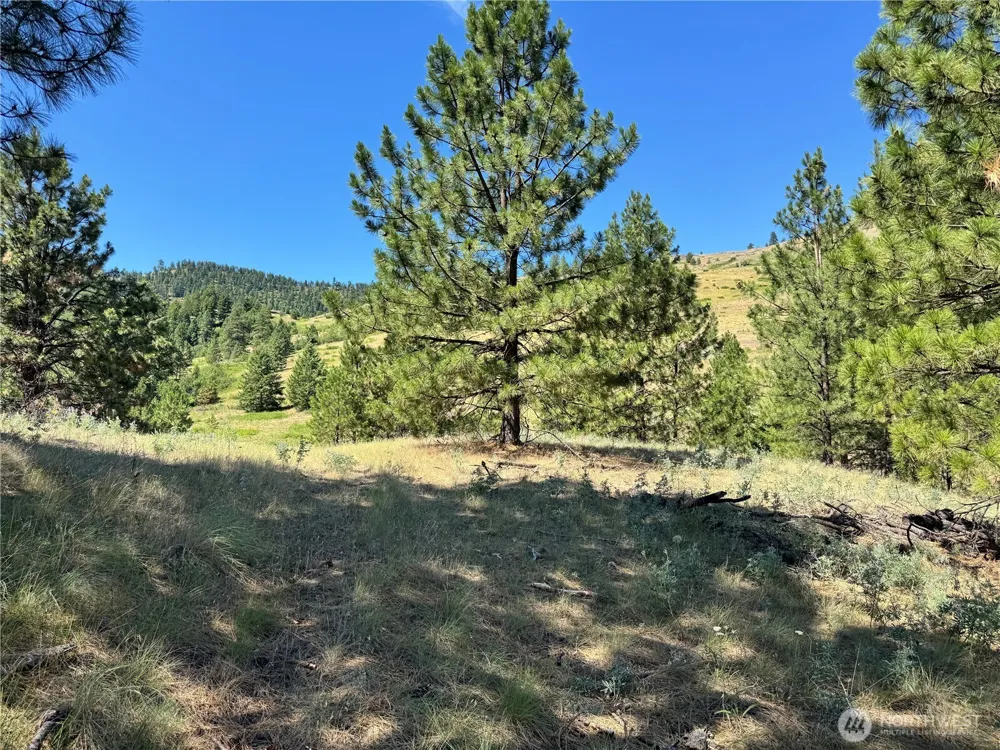 1 A Lundimo Meadows Road Curlew, WA 99118