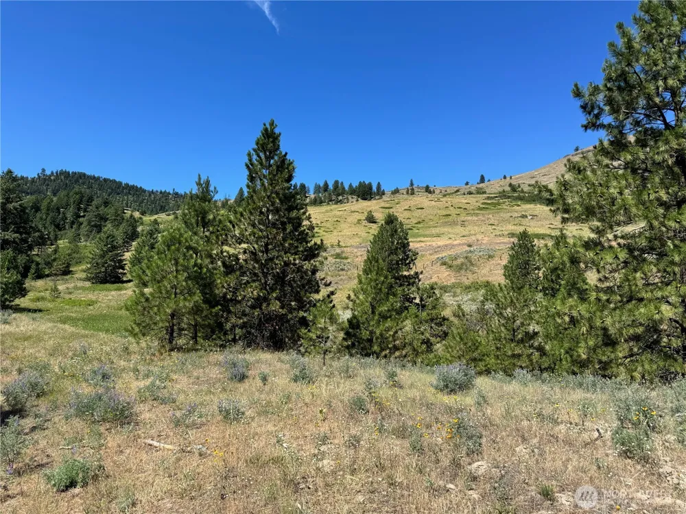 1 A Lundimo Meadows Road Curlew, WA 99118