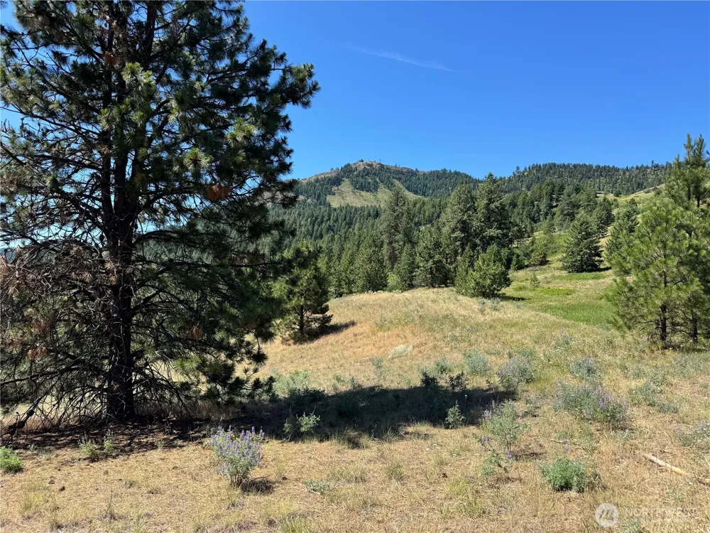 1 A Lundimo Meadows Road Curlew, WA 99118