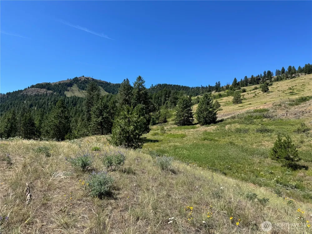 1 A Lundimo Meadows Road Curlew, WA 99118