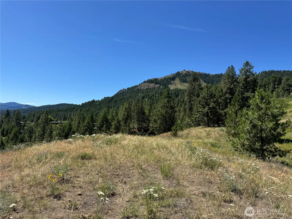1 A Lundimo Meadows Road Curlew, WA 99118