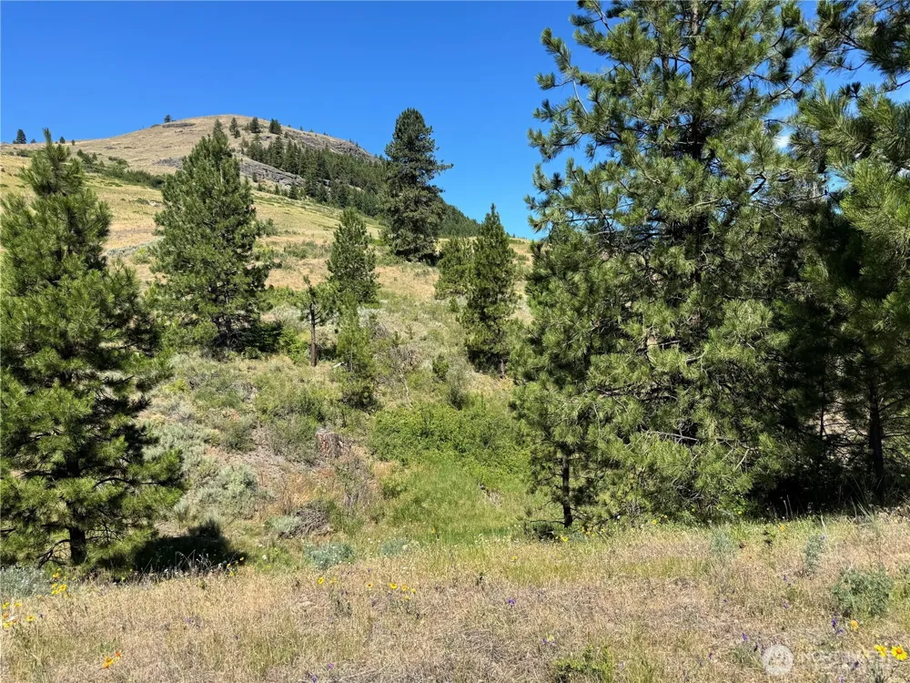 1 A Lundimo Meadows Road Curlew, WA 99118