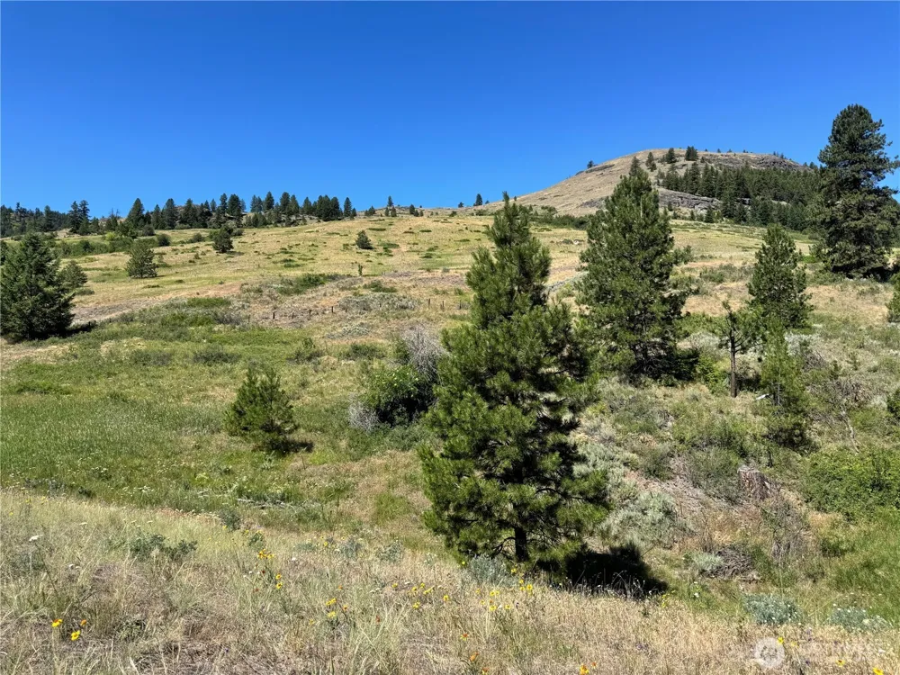 1 A Lundimo Meadows Road Curlew, WA 99118