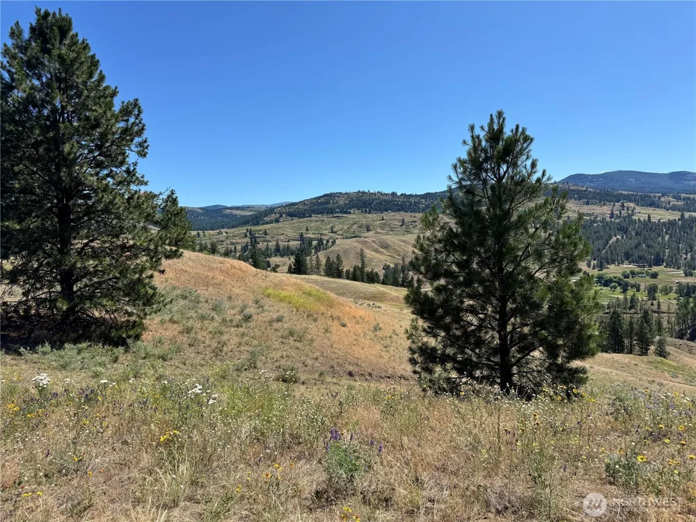 1 A Lundimo Meadows Road Curlew, WA 99118