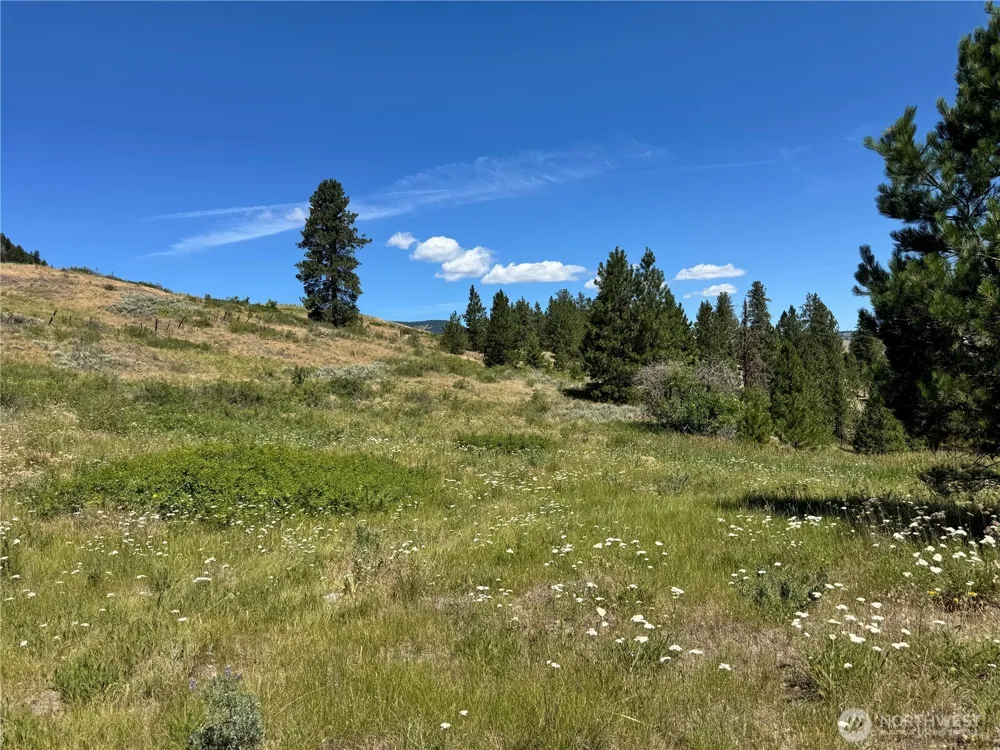 1 A Lundimo Meadows Road Curlew, WA 99118