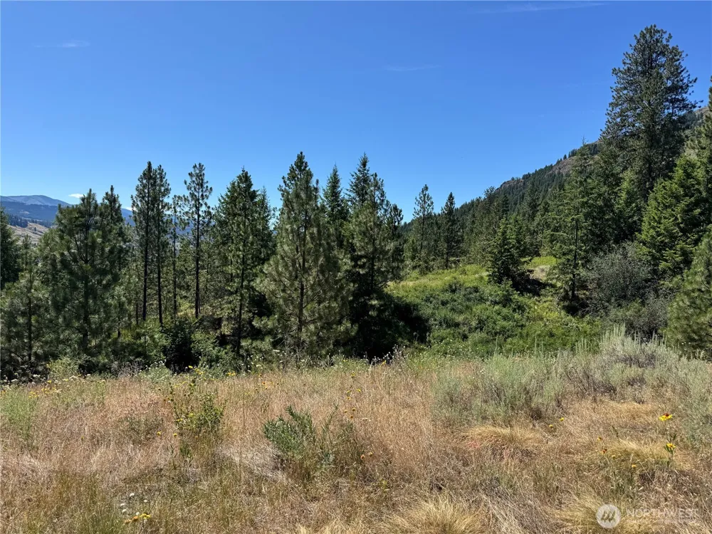 1 A Lundimo Meadows Road Curlew, WA 99118