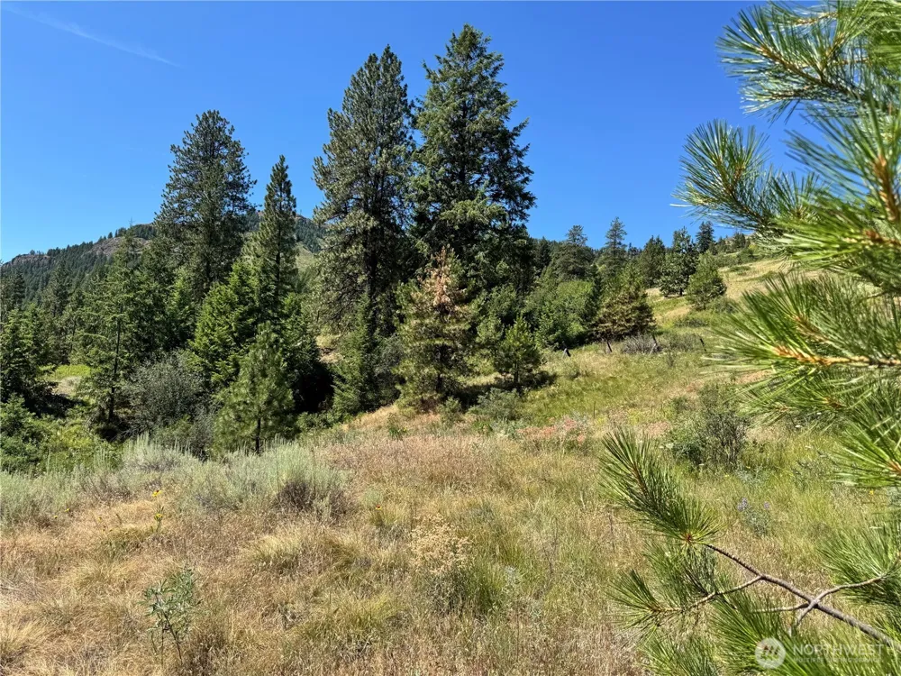 1 A Lundimo Meadows Road Curlew, WA 99118