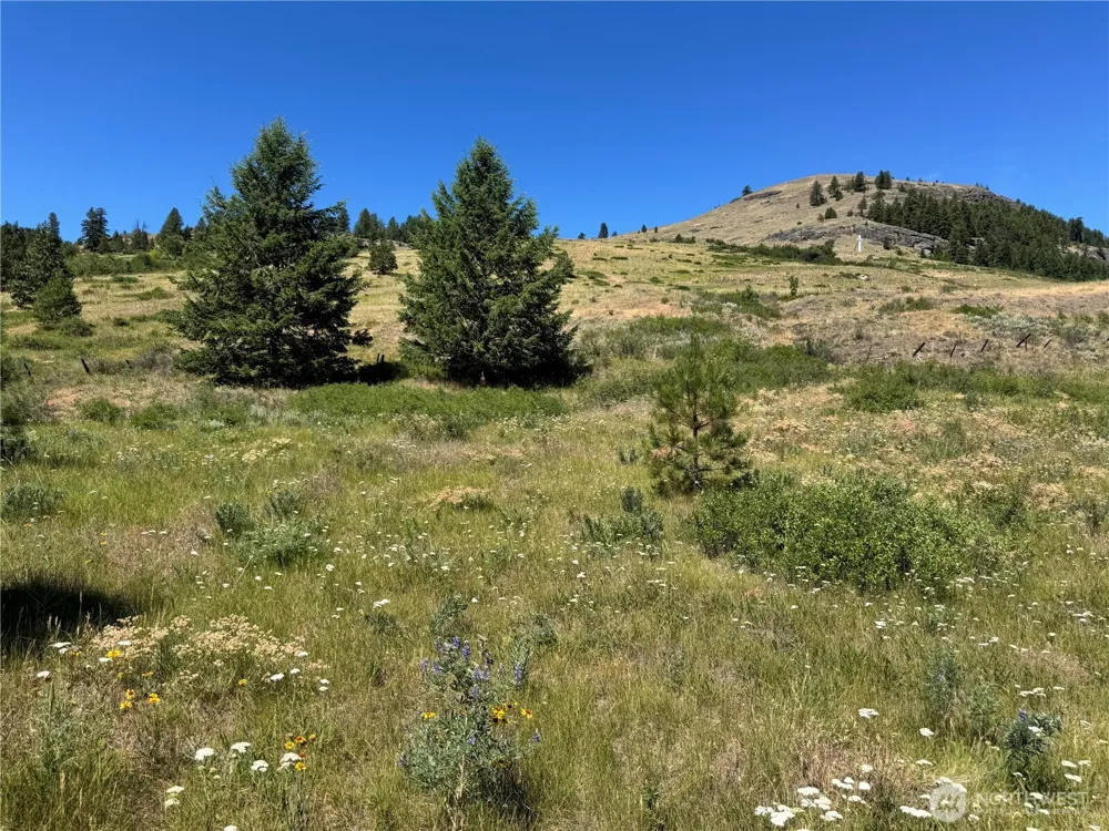 1 A Lundimo Meadows Road Curlew, WA 99118