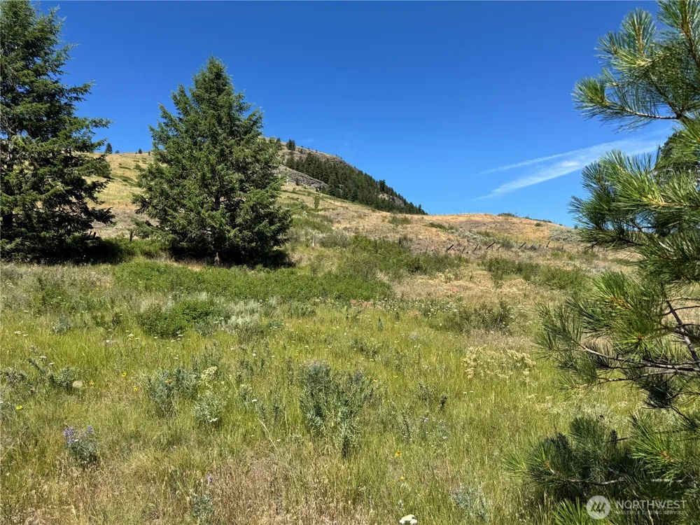 1 A Lundimo Meadows Road Curlew, WA 99118