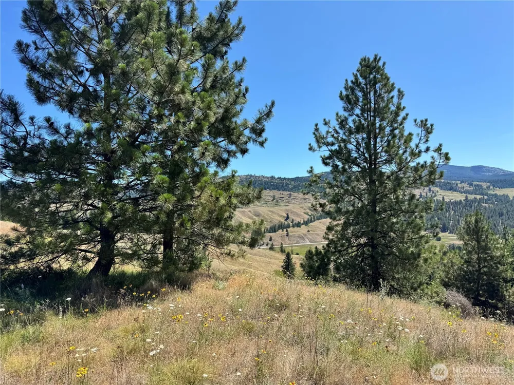 1 A Lundimo Meadows Road Curlew, WA 99118