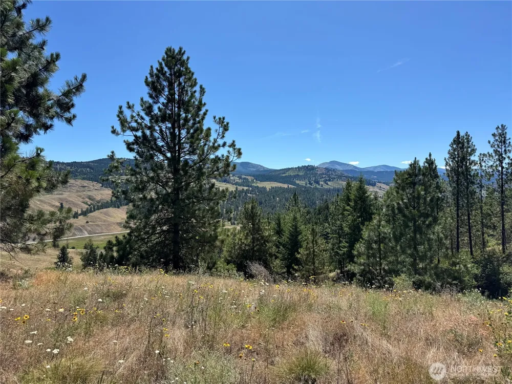 1 A Lundimo Meadows Road Curlew, WA 99118
