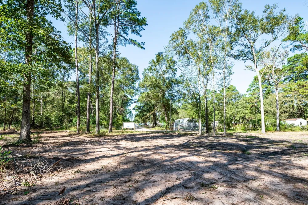 Dulaney Street Splendora, TX 77372
