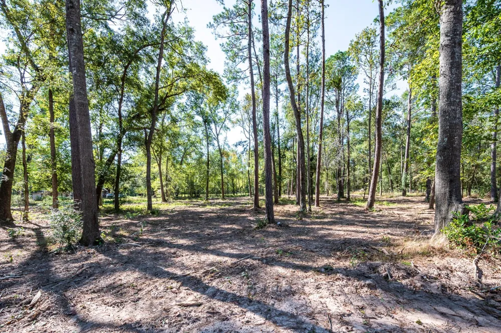 Dulaney Street Splendora, TX 77372