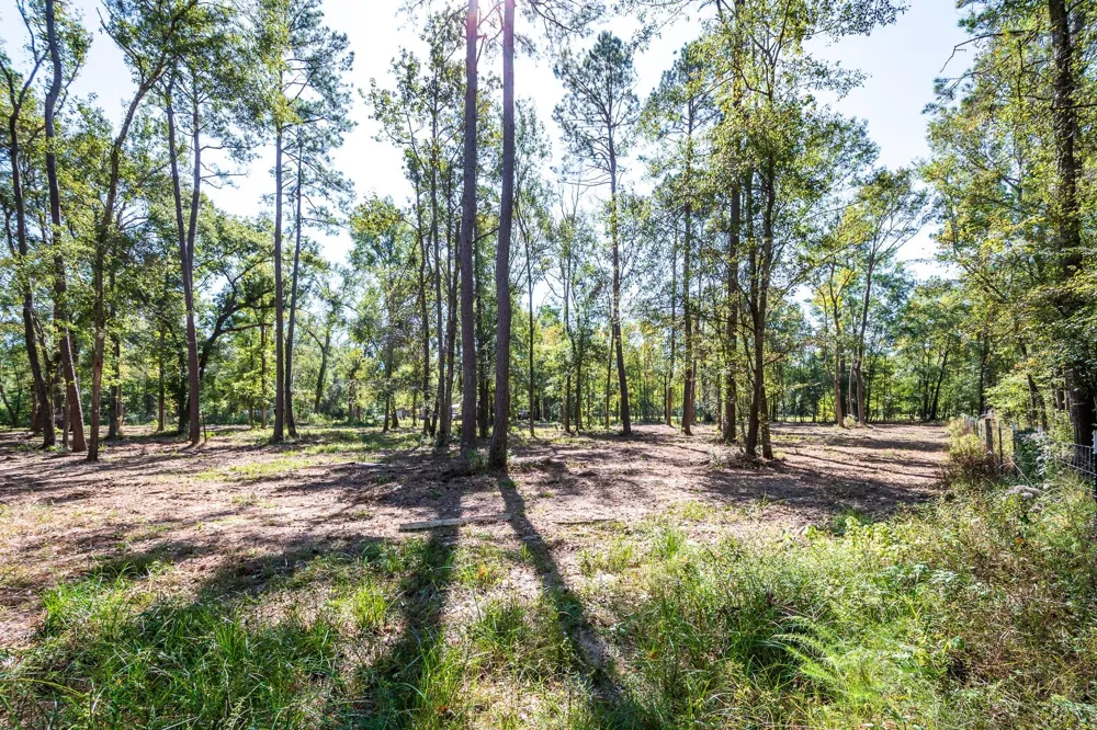 Dulaney Street Splendora, TX 77372