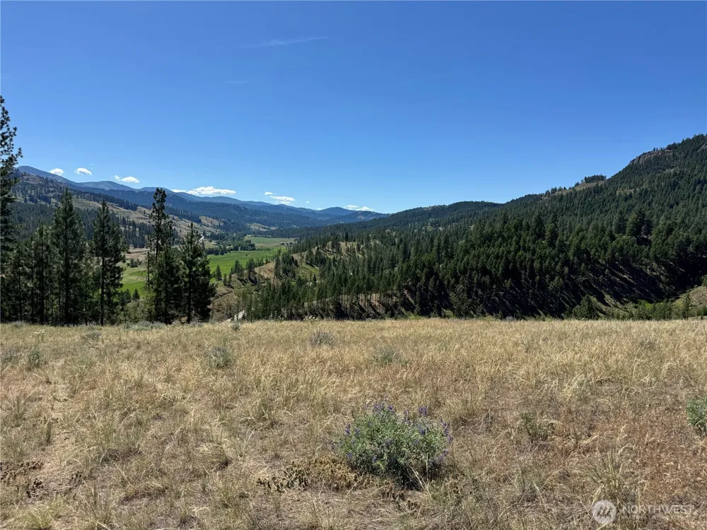 2 B Lundimo Meadows Road Curlew, WA 99118