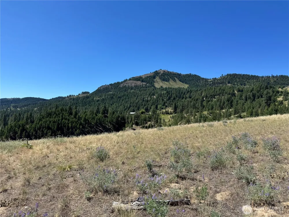 2 B Lundimo Meadows Road Curlew, WA 99118