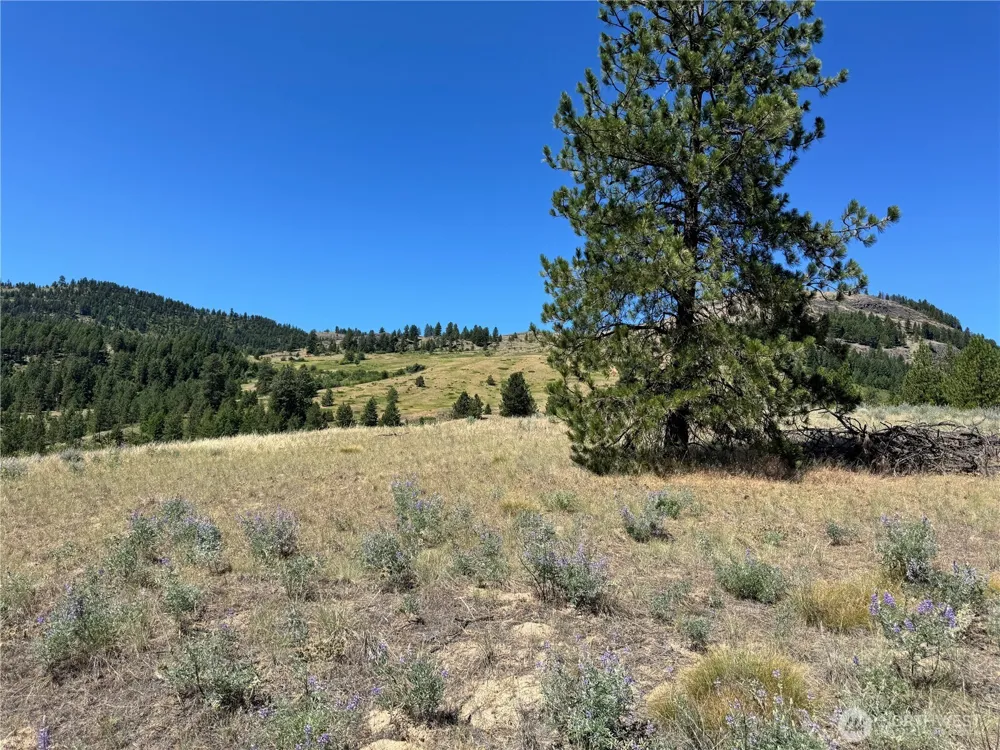 2 B Lundimo Meadows Road Curlew, WA 99118