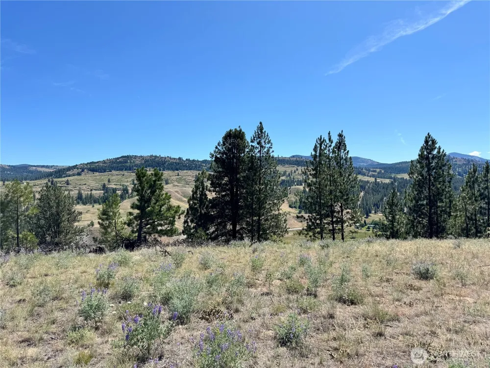 2 B Lundimo Meadows Road Curlew, WA 99118