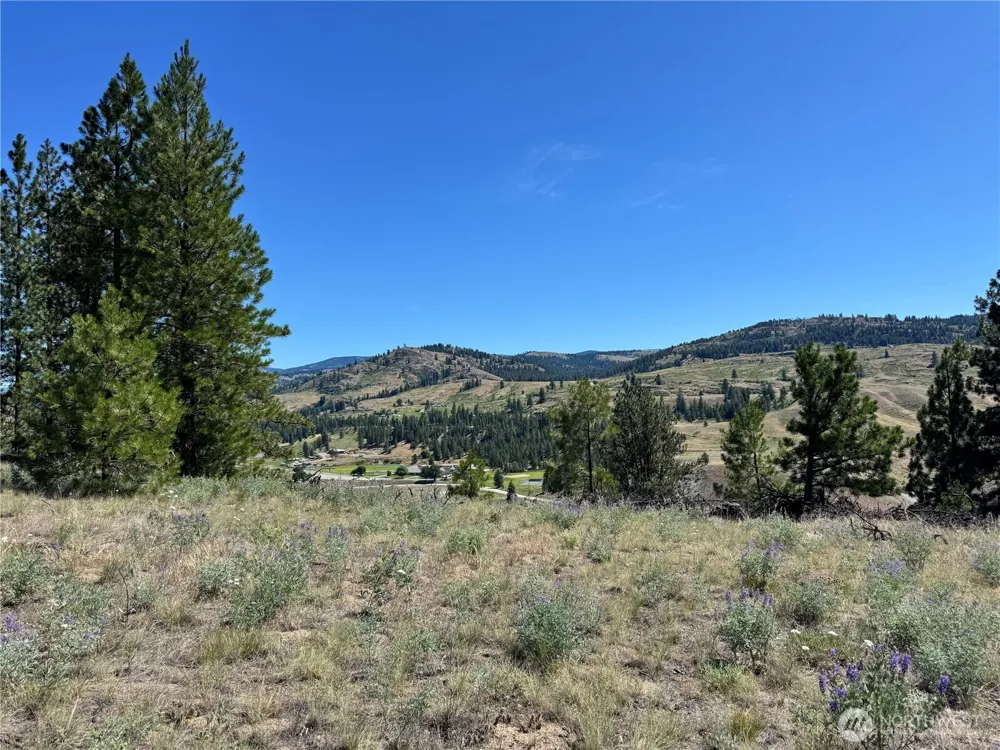 2 B Lundimo Meadows Road Curlew, WA 99118