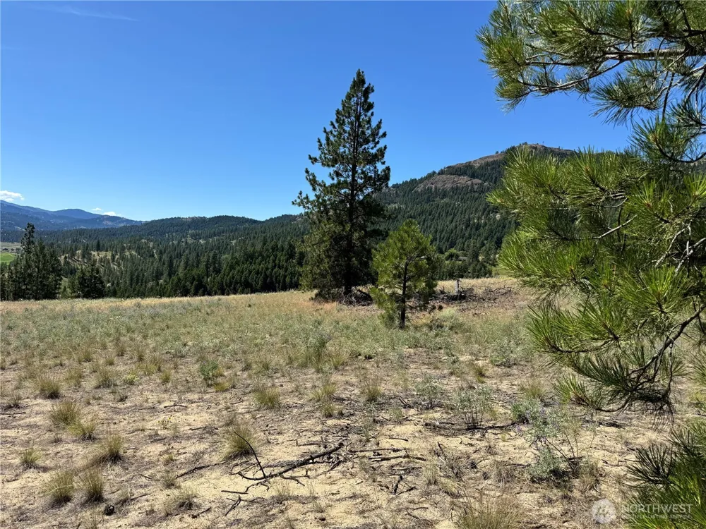 2 B Lundimo Meadows Road Curlew, WA 99118