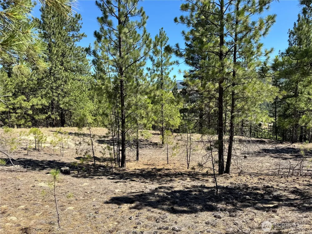 2 B Lundimo Meadows Road Curlew, WA 99118