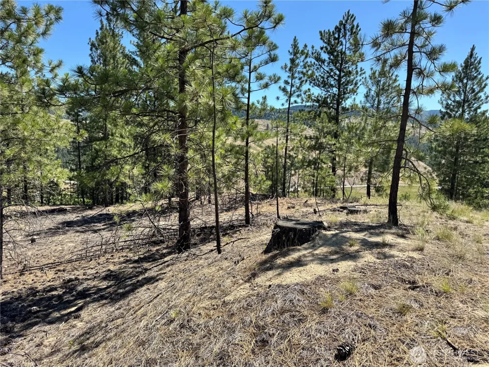2 B Lundimo Meadows Road Curlew, WA 99118