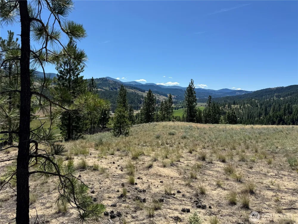 2 B Lundimo Meadows Road Curlew, WA 99118