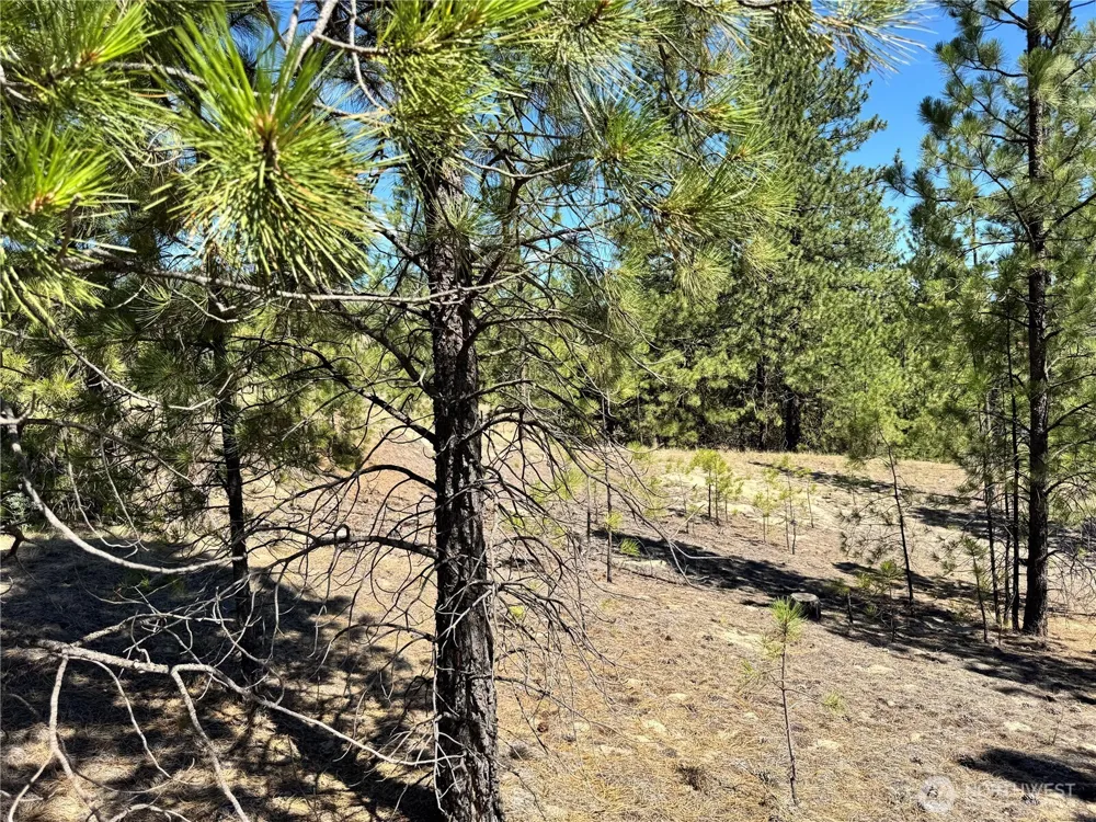2 B Lundimo Meadows Road Curlew, WA 99118