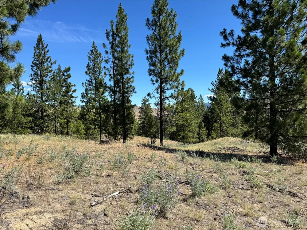 2 B Lundimo Meadows Road Curlew, WA 99118