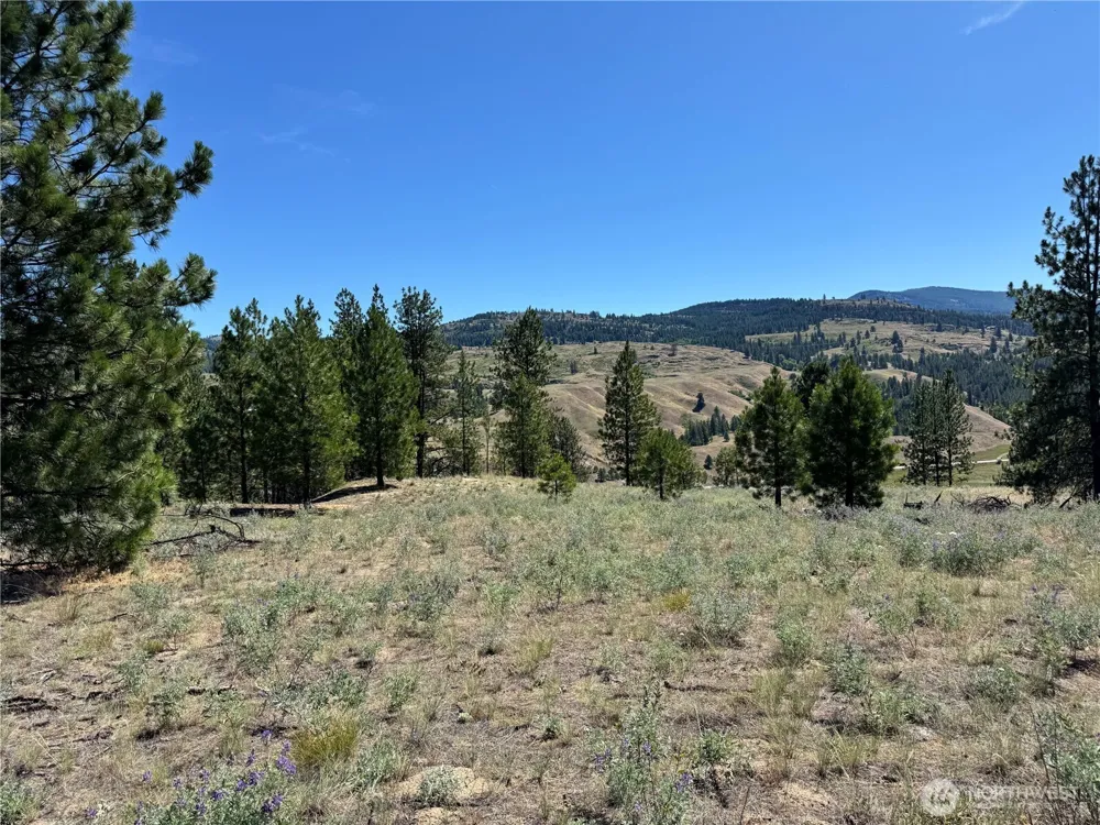 2 B Lundimo Meadows Road Curlew, WA 99118