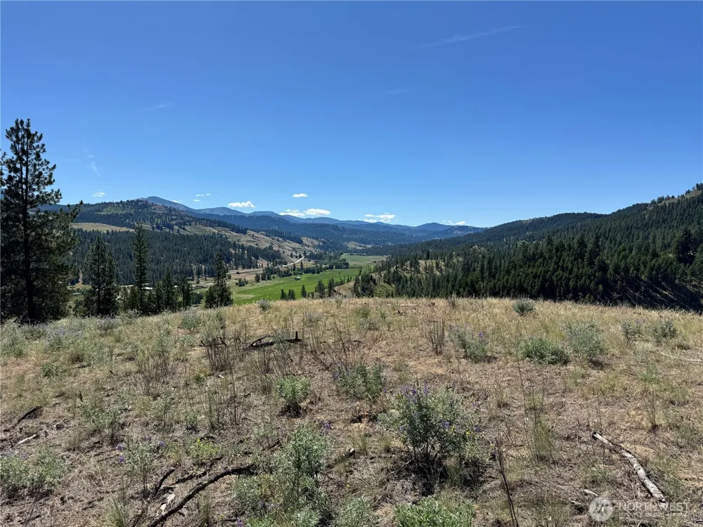 2 B Lundimo Meadows Road Curlew, WA 99118