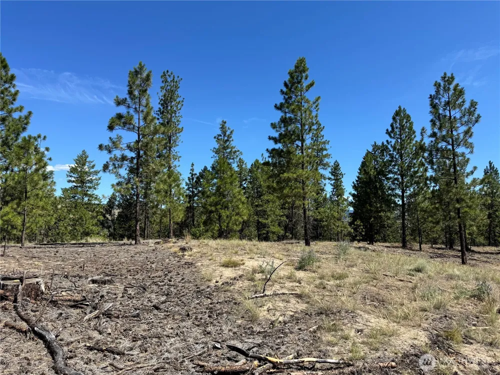 2 B Lundimo Meadows Road Curlew, WA 99118