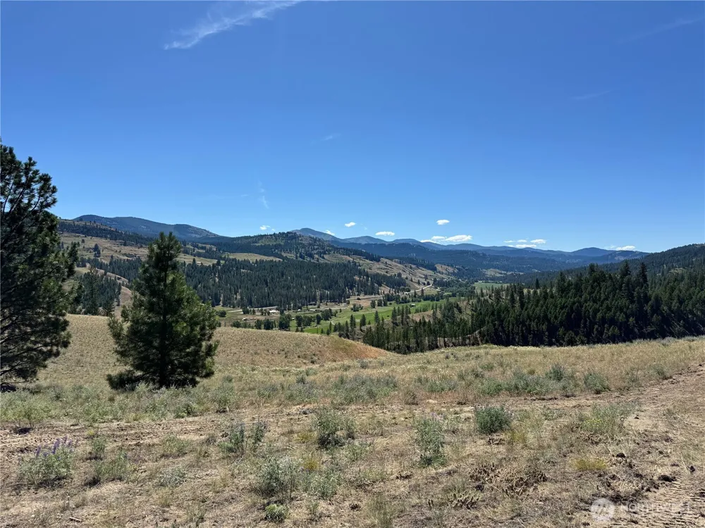 2 B Lundimo Meadows Road Curlew, WA 99118