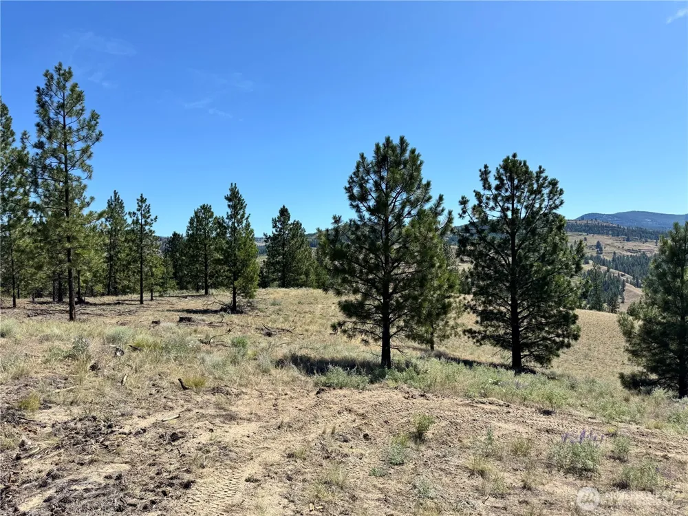 2 B Lundimo Meadows Road Curlew, WA 99118