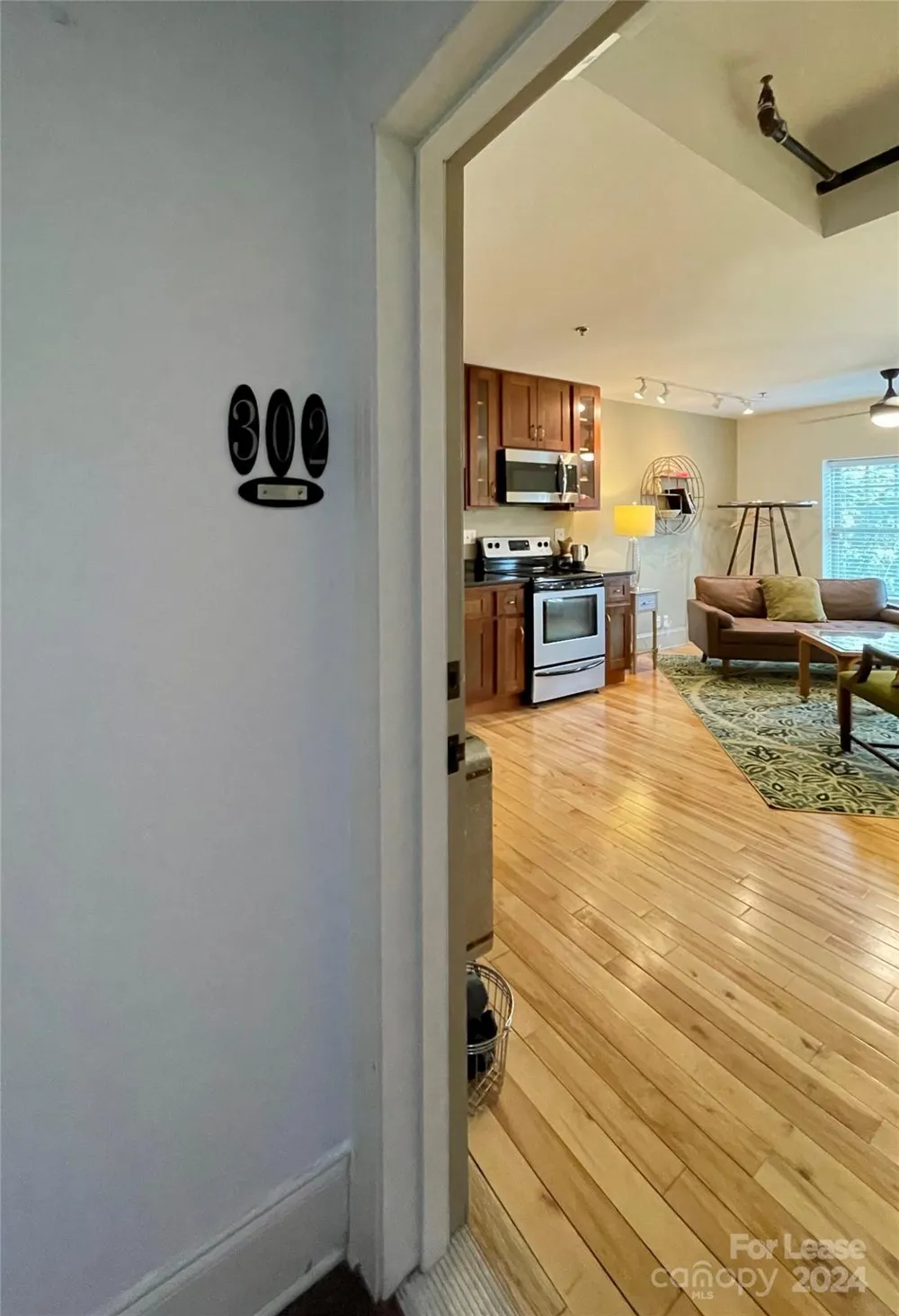 5 W Walnut Street #302 Asheville, NC 28801