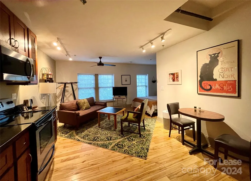 5 W Walnut Street #302 Asheville, NC 28801