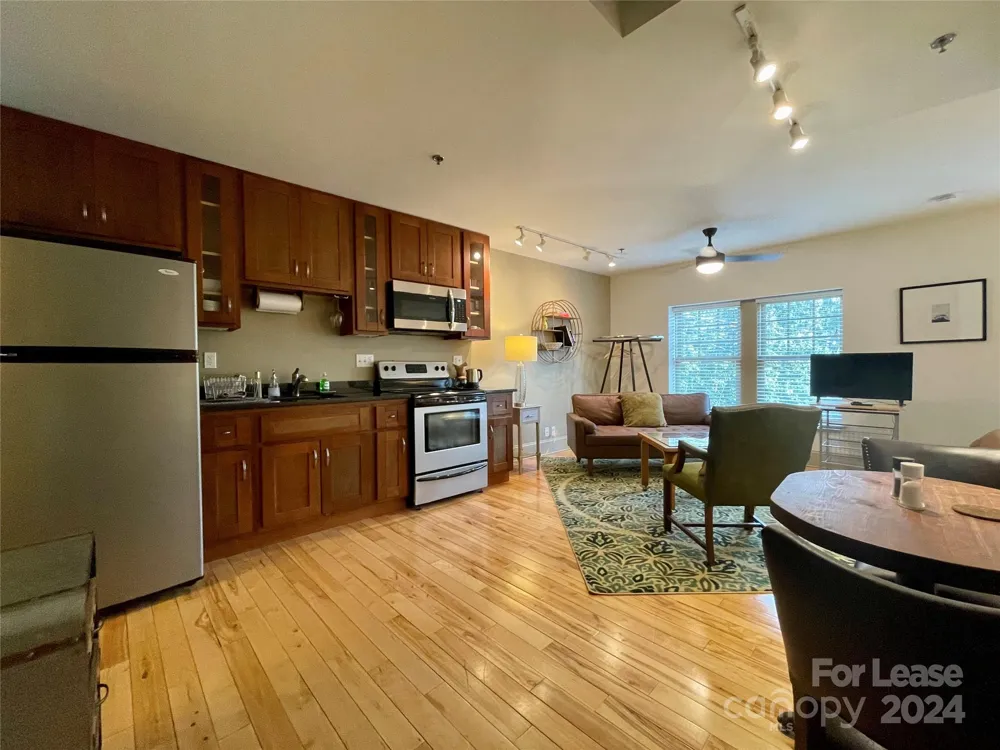 5 W Walnut Street #302 Asheville, NC 28801