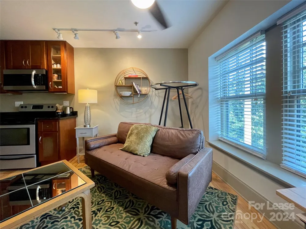 5 W Walnut Street #302 Asheville, NC 28801