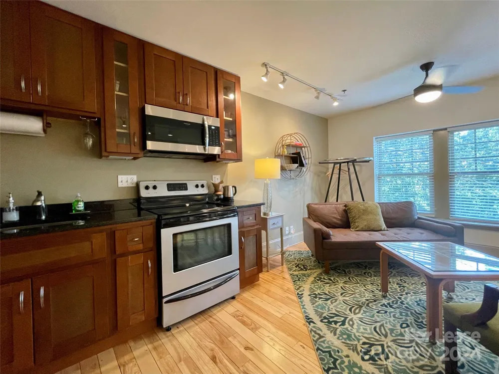 5 W Walnut Street #302 Asheville, NC 28801