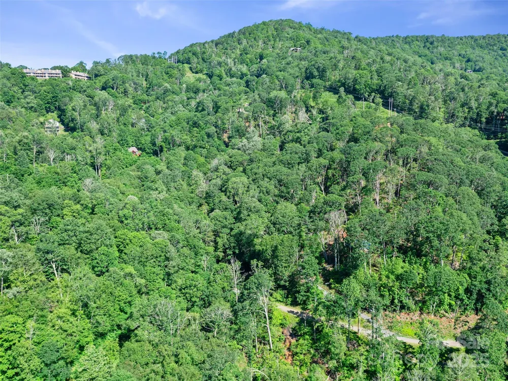 0 CHESTNUT LANE #Lot 84 Mars Hill, NC 28754