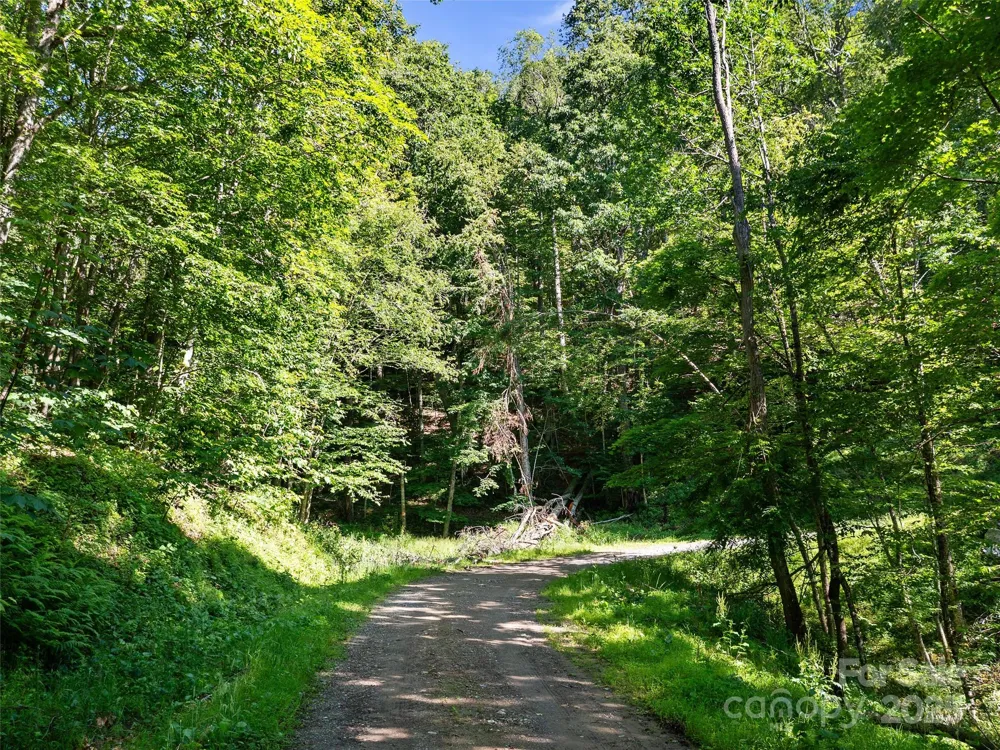 0 CHESTNUT LANE #Lot 84 Mars Hill, NC 28754