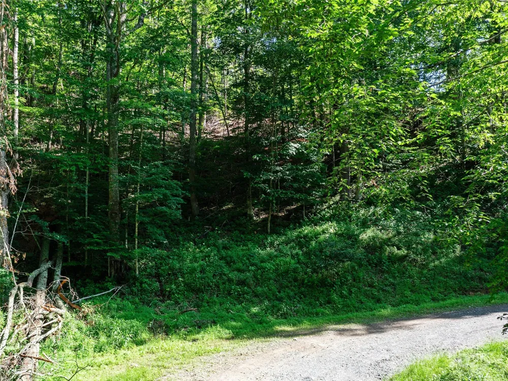 0 CHESTNUT LANE #Lot 84 Mars Hill, NC 28754