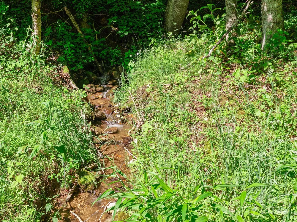 0 CHESTNUT LANE #Lot 84 Mars Hill, NC 28754