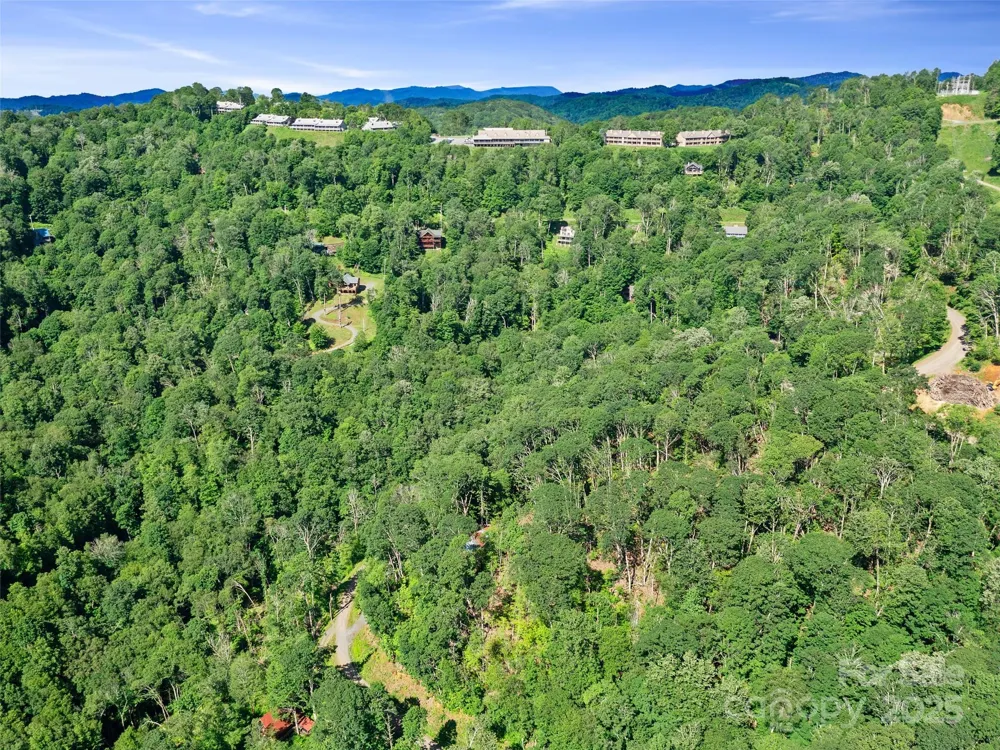 0 CHESTNUT LANE #Lot 84 Mars Hill, NC 28754