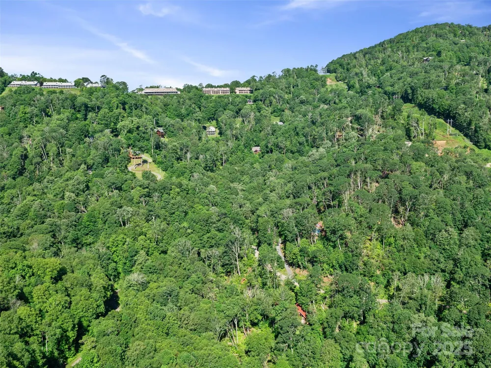0 CHESTNUT LANE #Lot 84 Mars Hill, NC 28754