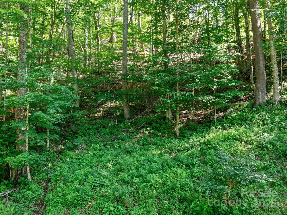 0 CHESTNUT LANE #Lot 84 Mars Hill, NC 28754